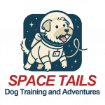 spacetail wobg